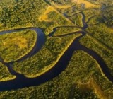 �������� ��������� � ���������������� ����. ����� ����������� � ���� ����?