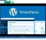 ������ ������ �� WordPress ��������� ��� ������� ��-�� ���������� �������