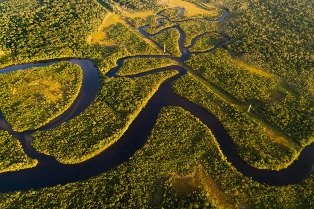 Амазонка переходит в гипертропическую зону. Конец крупнейшего в мире леса? Амазонка переходит в гипертропическую зону. Конец крупнейшего в мире леса?