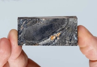 ������������������ ��������: ������ ���������� �������� ����� �����