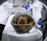 ������������ �������� ������� ����� ���������� �����