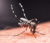 ����������� ������� �������� ������. ���������������� � ���� ������ �������