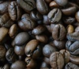 ������� ���� �� ���� ���������� ���������: ������ ������ �����