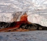 �������� ������� � ����������: ������ ��������� ����� ����� ������� �������