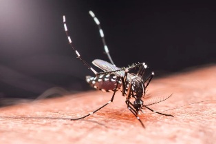 ����������� ������� �������� ������. ���������������� � ���� ������ �������