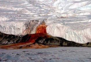 �������� ������� � ����������: ������ ��������� ����� ����� ������� �������