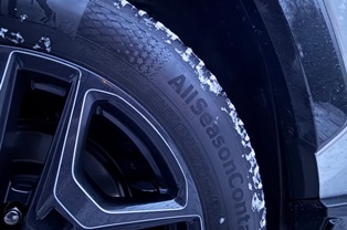 ���� �� ������ ����? ������ �������� �� ���� ���� �� ������������