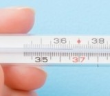 ����� ����������� ���� ����������: ������ ����������� ���� ������