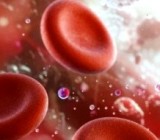 ������ ����� ����� ��������� ���� ��������