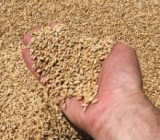 �������� ���������� ���� ������� �� �������� ��������