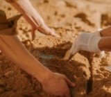 ������ ������������� �����������: �������������� �������� ����������