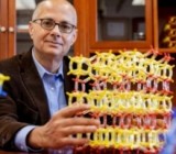 ���� �� ���������� �������: ����������� ������� ���������� ���� �����������