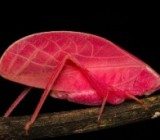 ������ ����� ����������� ������������ ������������� ����������