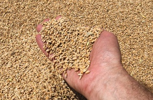 �������� ���������� ���� ������� �� �������� ��������