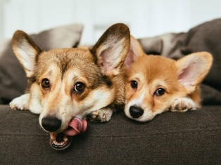 ����� �� 850 ������: ���������� ����� � ����� ������� �������� ����� �������� � ���������