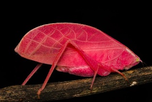 ������ ����� ����������� ������������ ������������� ����������