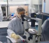 ��������� ����� 910 ���. ������ �� ����������� �� ������� � ������