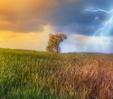 ��������� ������� ��������� �������������� �������� ����� 5 ���