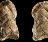 ��������� ���������� ���������� ������������ ���������