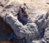 ������ ���������� � ������ ���������� ����� ����������