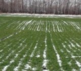 � ����������� ������� ����� ������ ���������� �� 67%