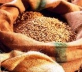 ��������� ����������������� ������� � ������� �������� �� 30%