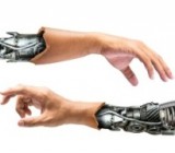 ����� ������������ � �������� ����������� ����