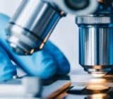 ����������� ������ �� �����: ��� ����� ��������� �����