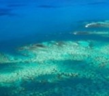 �� ����� ������ ���������� �����, ��� ��������� �����