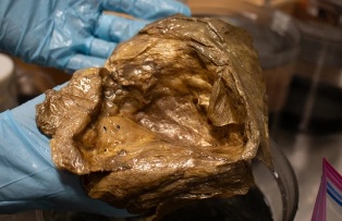 ������� ��������� ���� �� ��� ������ ���������