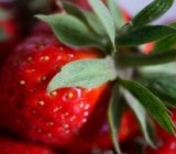 ������ ��� ���������: ����� �� ���� ������� ������� ��������